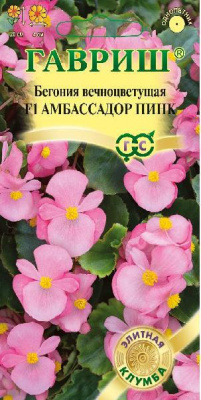 цБегония Амбассадор Пинк 4шт.