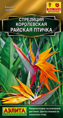 Стрелиция Райская птичка