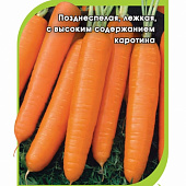 Морковь Берликум Роял 1г