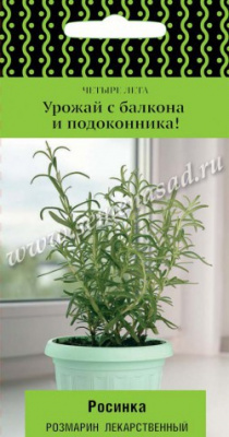 Розмарин Росинка 10шт