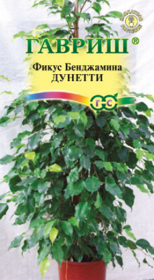 цФикус Бенджамина Дунетти 0,01г