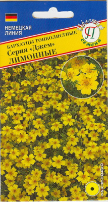 цБархатцы Джем лимонные 10шт