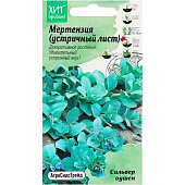 Мертензия (Устричный лист) Сильвер Оушен 5шт АСТ