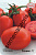 Томат Бенито (20пак*0,1г)