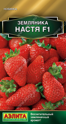 Земляника Настя 10шт ремон.