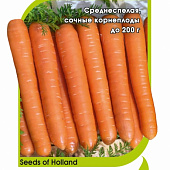 Морковь Аурантина 0,3 г (Энза Заден)