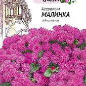 Агератум Малинка 0,05г Чудесный балкон!