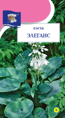цХоста Элеганс 3шт