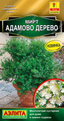 цМирт Адамово дерево 5шт