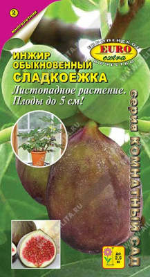 Инжир Сладкоежка