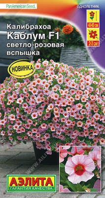 цКалибрахоа Каблум светло-розовая вспышка 3шт