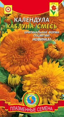 цКалендула Каблуна