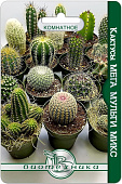 Кактусы Мега Мульти микс 35шт