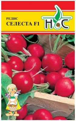 Редис Селеста 1г (Enza Zaden/Голландия)
