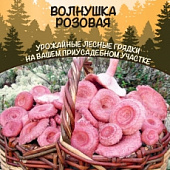 Грибы Волнушка Розовая 30мл