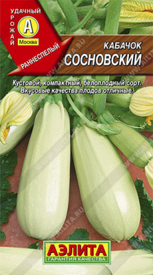 Кабачок Сосновский