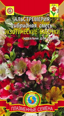 цАльстремерия Экзотические бабочки 3шт