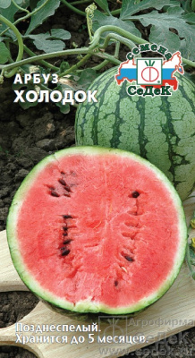 Арбуз Холодок 1г