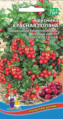 Брусника Красная Поляна 20шт