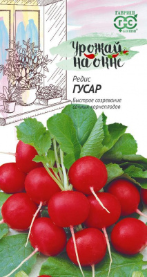 Редис Гусар 2г Урожай на окне
