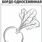 Свекла Бордо односемянная 3г