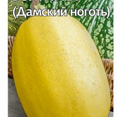 Тыква Болгарка (Дамский ноготь) 2г на семечки