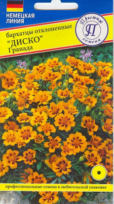 цБархатцы Гранада (Диско) 5шт