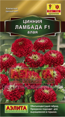 цЦинния Ламбада алая 12шт