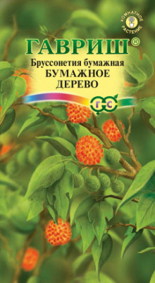 цБруссонетия Бумажное дерево 3шт
